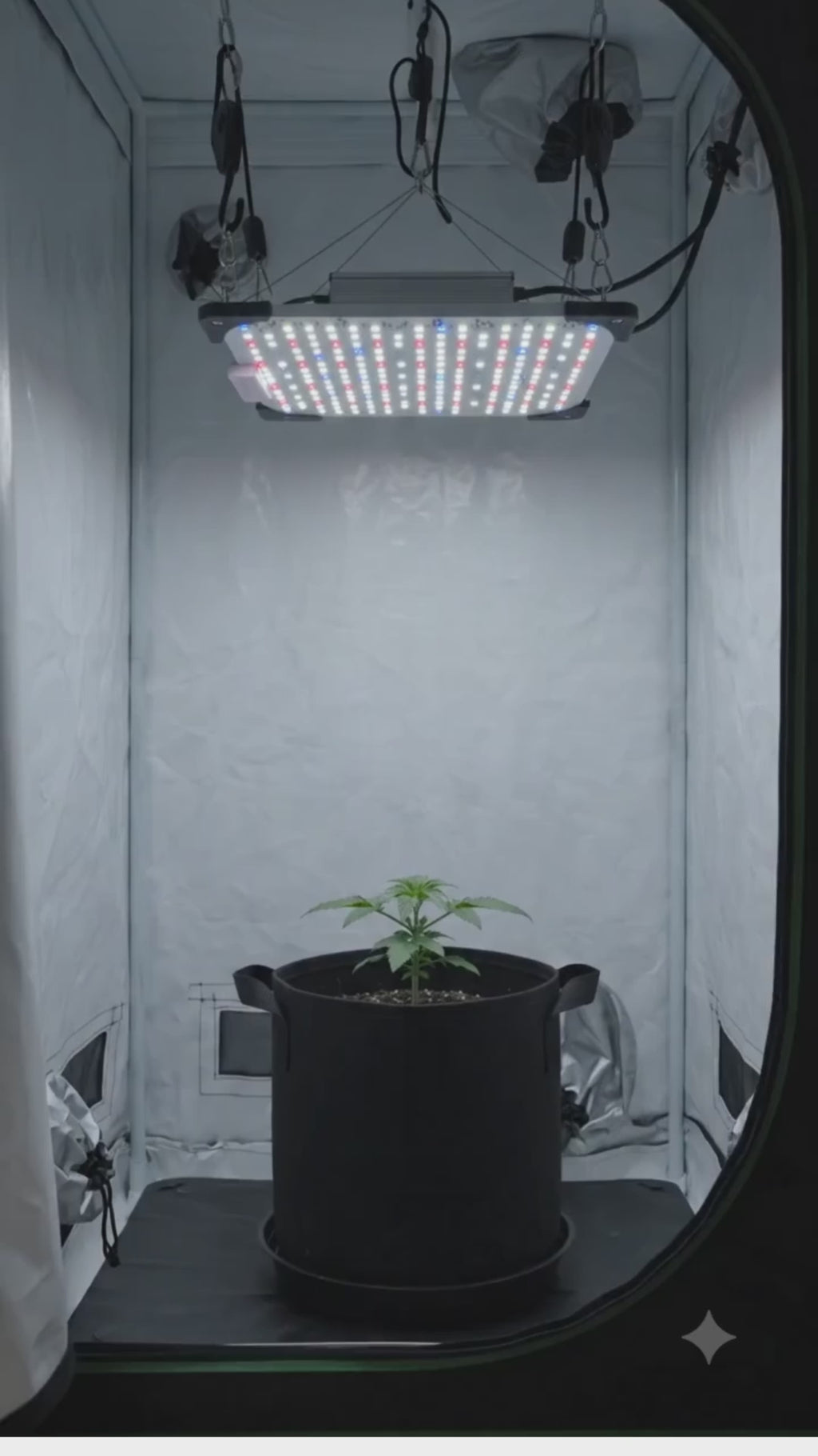 Lámpara de Cultivo LED Growattss de Espectro Completo con UV 395nm – Potencia y Control Profesional para tus Plantas