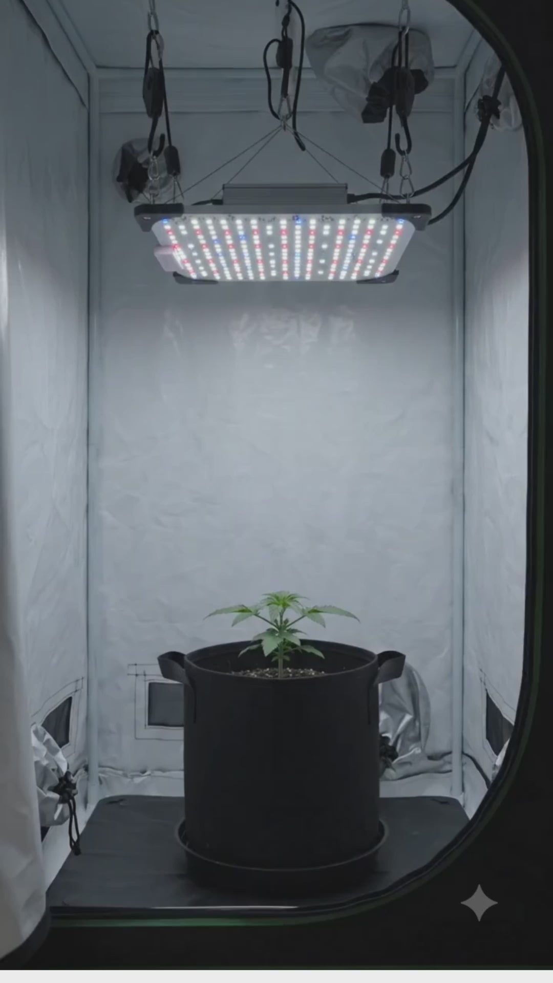 Lámpara de Cultivo LED Growattss de Espectro Completo con UV 395nm – Potencia y Control Profesional para tus Plantas